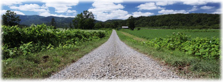 お役にたてば幸いです