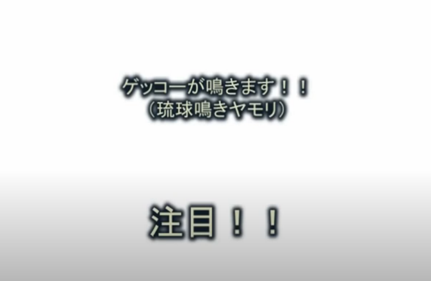 【沖縄ナガンヌ島 「アイランドマッサージ（Island Massage) 」】体験レポート